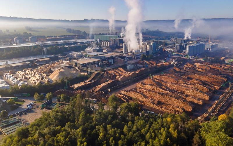 Historia detallada — La industria de los biocombustibles sólidos (en pellets) sin aditivos